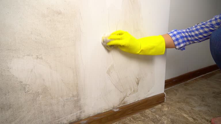 Best Post-Construction Mold Inspection  in Poplar Cotton Center, CA